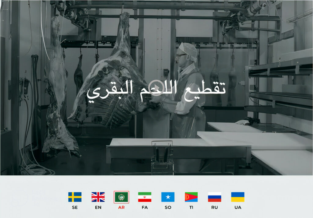 språkstöd för nyanlända